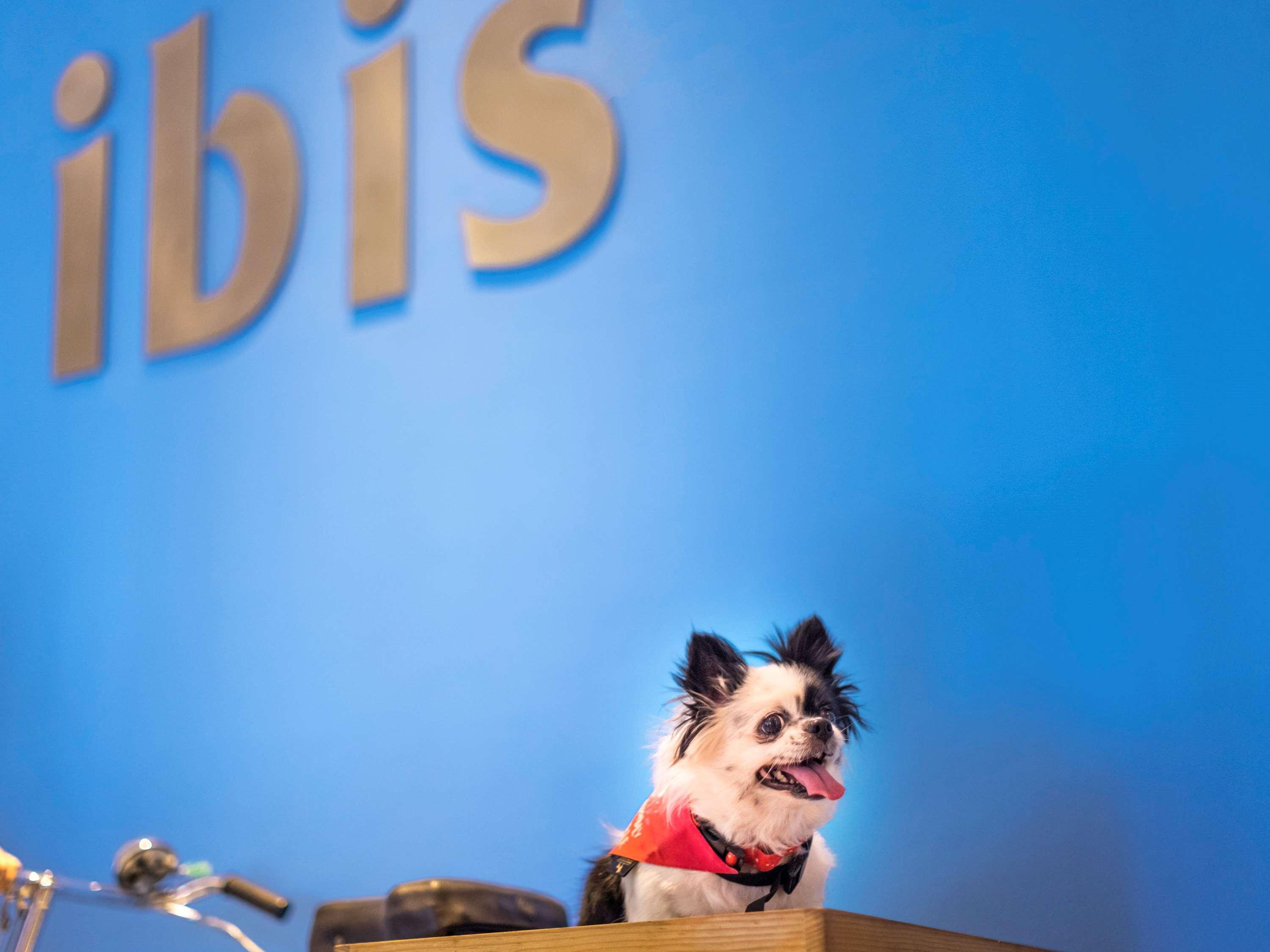 Ibis Kochi City Centre - An Accor Brand Exteriér fotografie